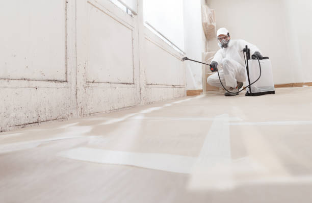 24/7 Emergency Mold Removal experts in Jacksonville Beach, FL